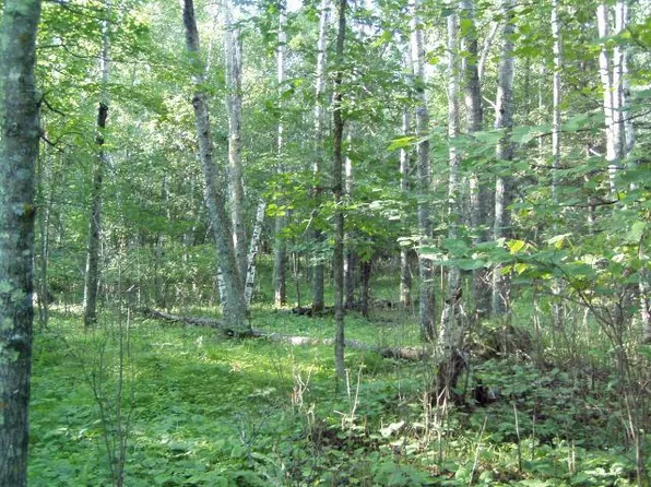 LOT 9 Falling Leaf Trl, Park Rapids, MN 56470
