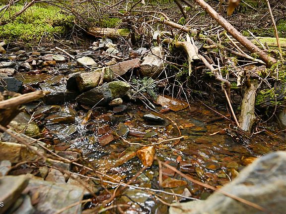 4th image of Nka Evans Creek Rd