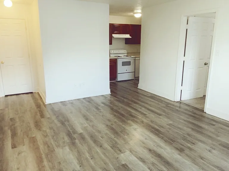 1 bedroom unit: living room that leads into the full kitchen and master bedroom