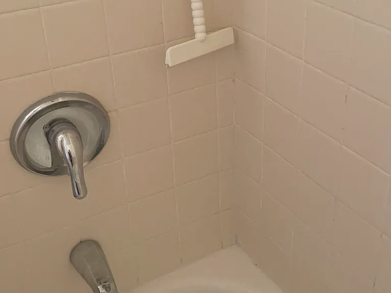 Ensuite shower with bathtub