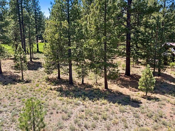 3rd image of 8201 Lahontan Dr