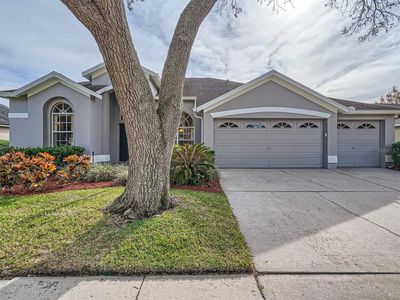 12404 Ashville Dr, Tampa, FL, 33626