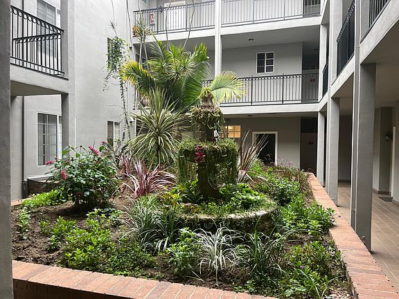 Common area Courtyard newly planted plant and flowers.