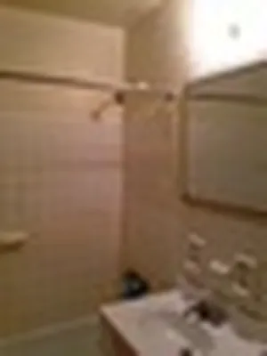 Rented by Lifestyle Realty | media 14