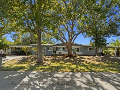 1301 N LOTUS DRIVE, Dunedin, FL, 34698