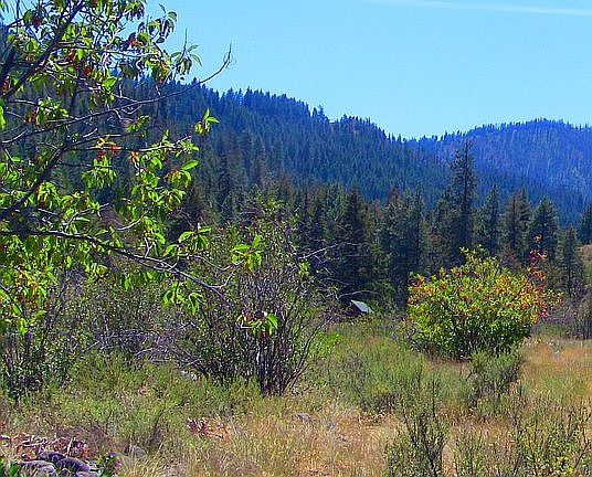 methowvalleyland.com