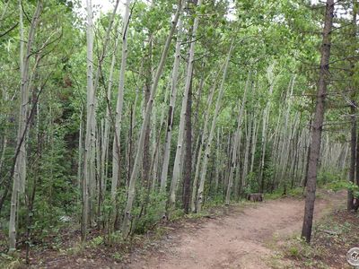 60 Comanito Ct, Red Feather Lakes, CO, 80545