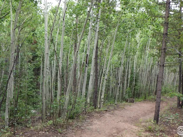 60 Comanito Ct, Red Feather Lakes, CO 80545