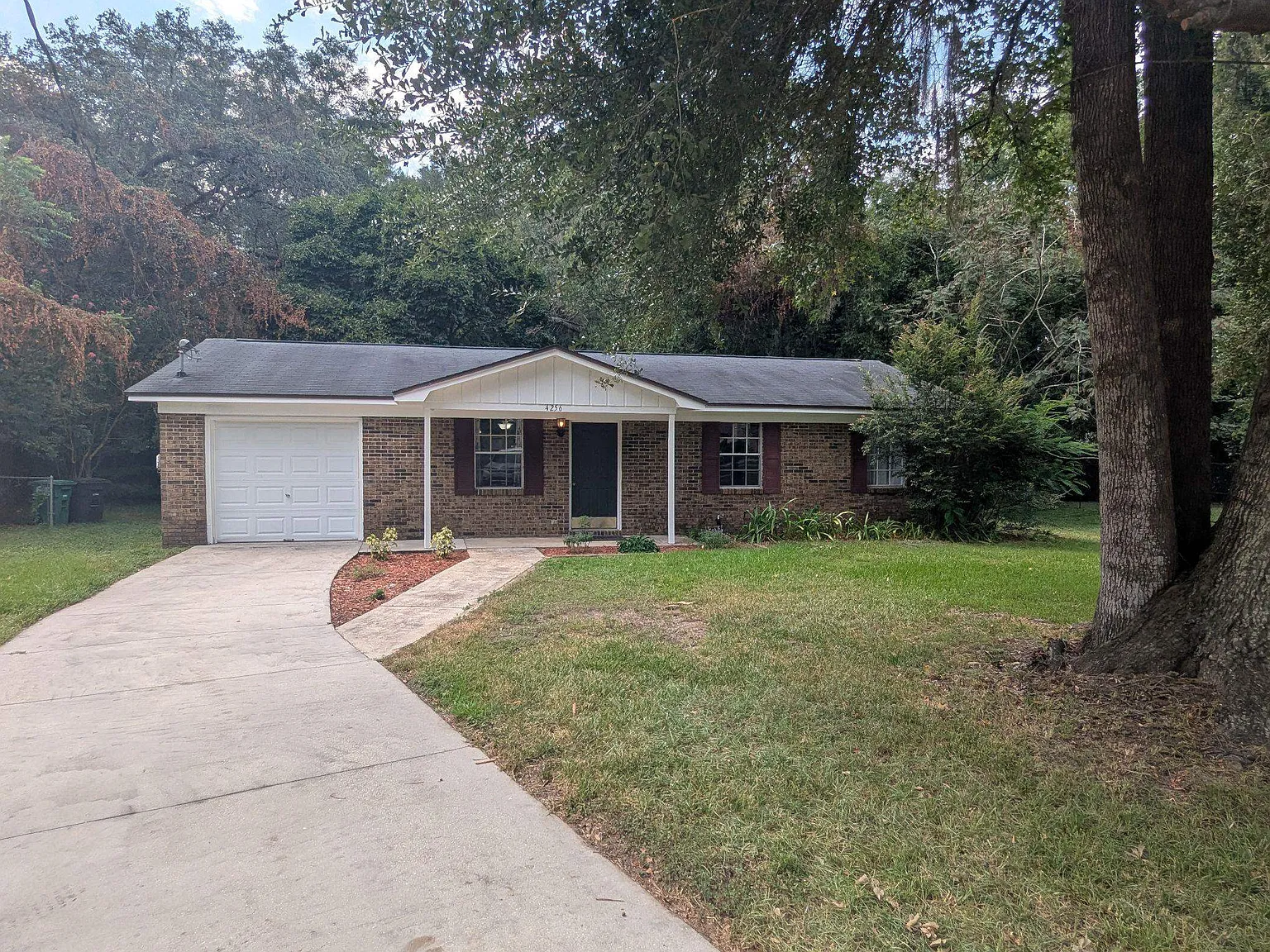 4 bed, 1100 sqft, $1,800 — Photo 1