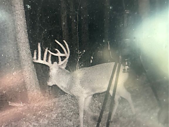 5th image of 22681 Lexington Rd