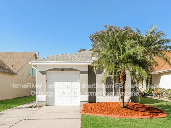 11637 Sunshine Pond Rd, Tampa, FL 33635
