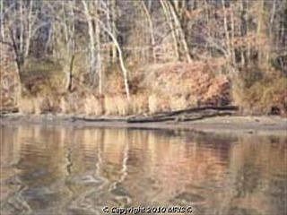 2nd image of 3 Chesapeake Elderly