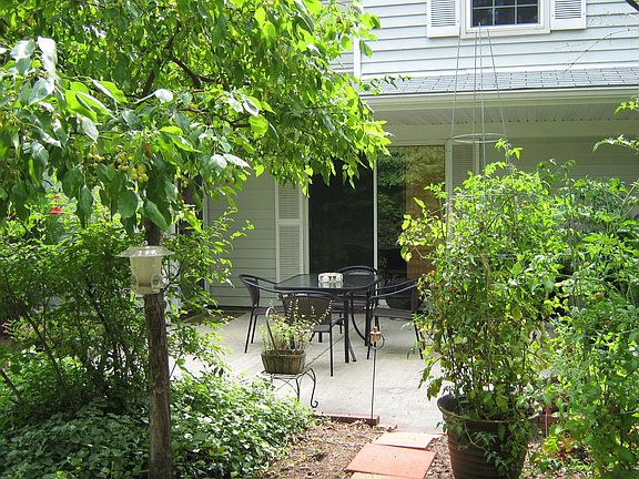 Summer Patio View