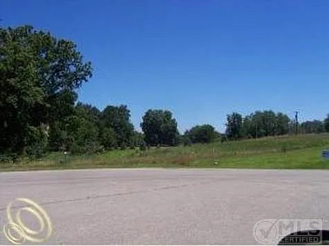 9537 Iosco Ridge Dr photo 1