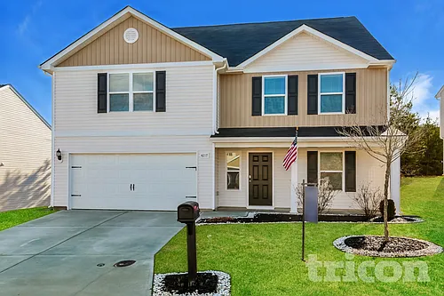 4217 Piedmont Farms Way Photo 1
