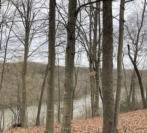 5th image of 63 Eagles Nest Point