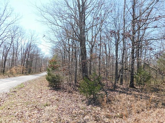 2nd image of 0 Mount Zion Ln