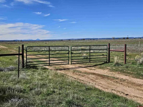 TBD County Road 131, Hesperus, CO 81326
