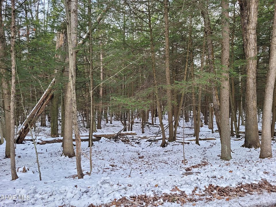 2nd image of 138 Red Oak Rd