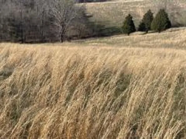 Halfway Rd, Scottsville, KY 42164