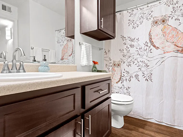 Bathroom with Vinyl Plank Flooring