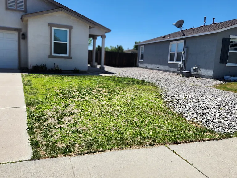 1159 Hushfield Ct — Photo 3