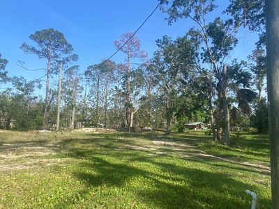 0 Main St, Steinhatchee, FL, 32359
