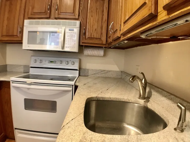 1550 N Lake Shore Dr #4D — Photo 9