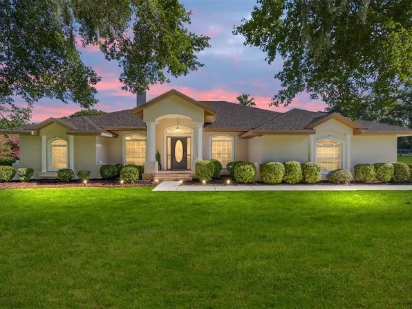 8585 W Highway 318, Reddick, FL 32686