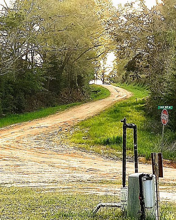 22186 Lord Hill Rd, Andalusia, AL 36421 Zillow