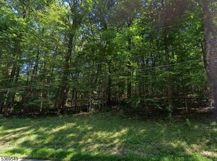 342 Buckhorn Dr, White Twp., NJ 07823