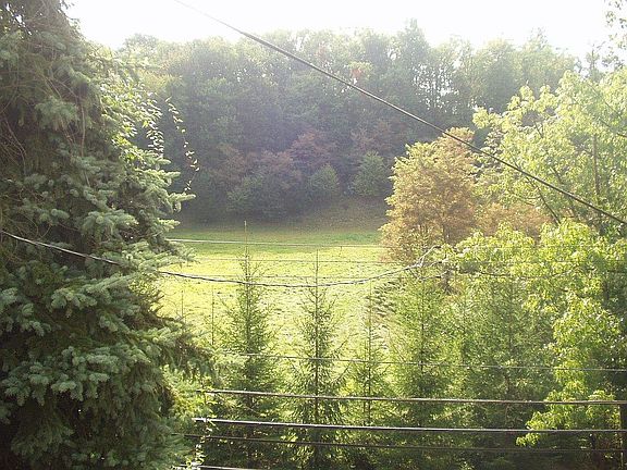 View from Porch
