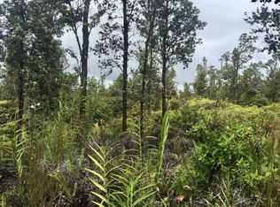 Uhini Ana Rd #1-LOT 2490, Mountain View, HI 96771