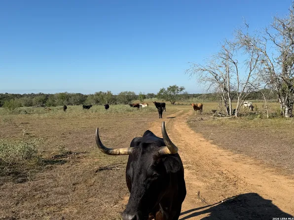3841 County Road 427 LOT 87B, Stockdale, TX 78160