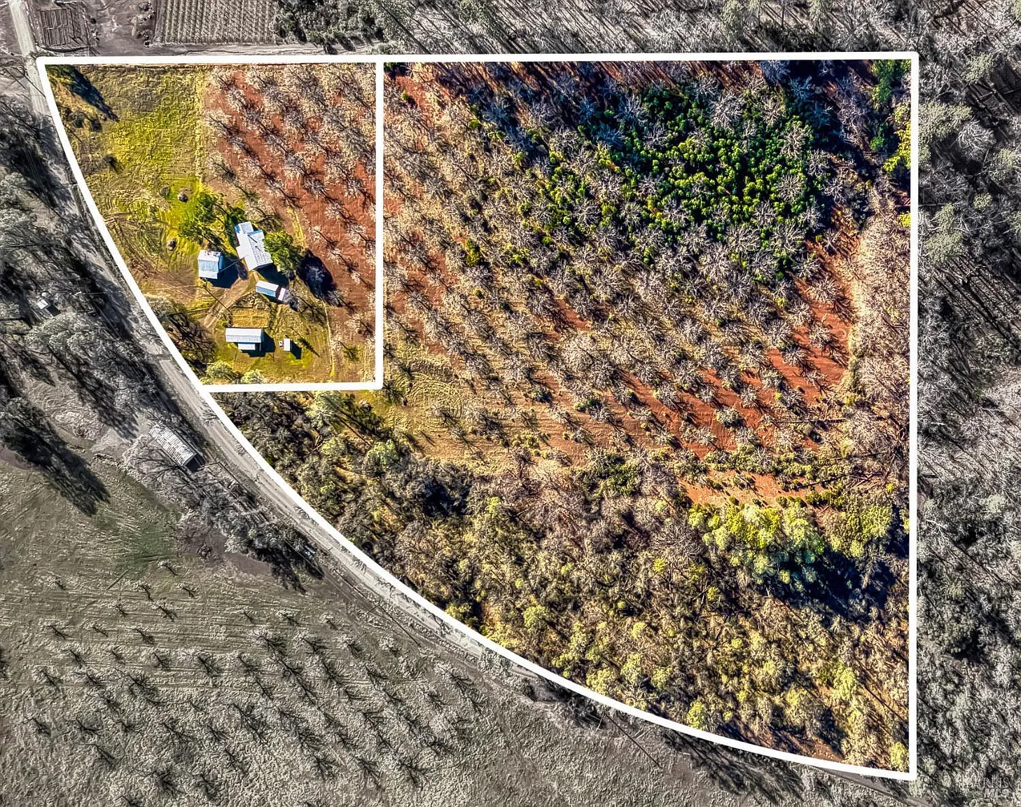 11415 Seigler Springs North Road photo 1