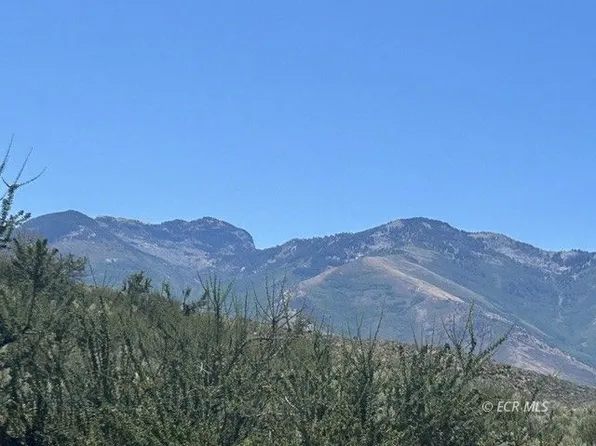 Thorpe Way, Lamoille, NV 89828