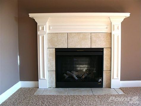 Fireplace with Electric Remote