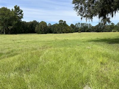 0 NW 125th Ave #13, Micanopy, FL, 32667
