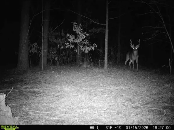 County Road 291, Water Valley, MS 38965