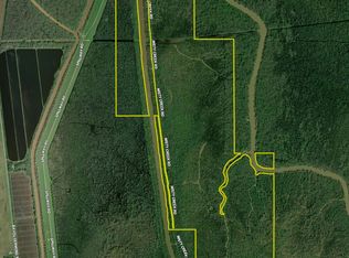 Misty Creek Rd LOT WP001, Pt Barre, LA 70577