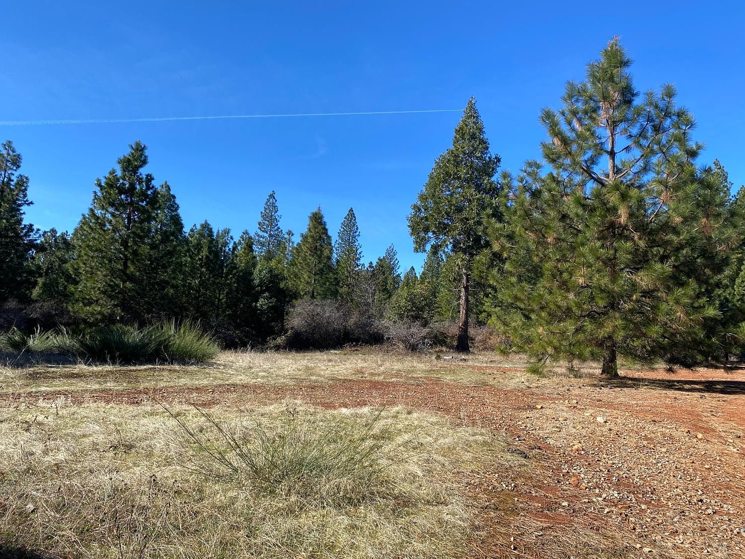 16831 Garden Valley Rd, Camptonville, CA 95922 MLS 223074444 Zillow