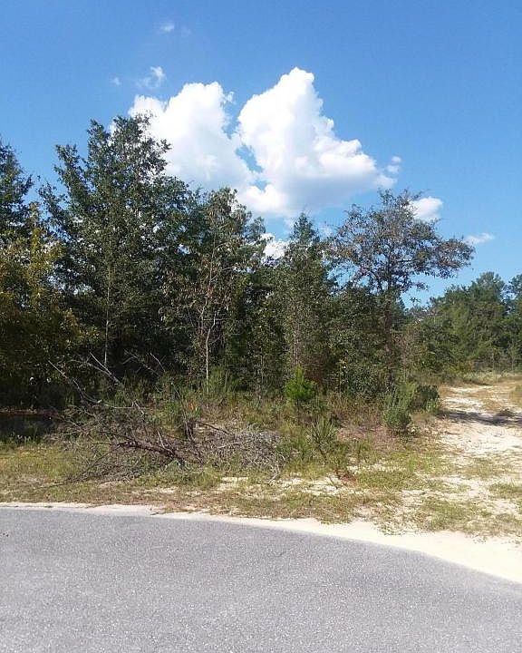 2nd image of 424 Mill Creek Dr