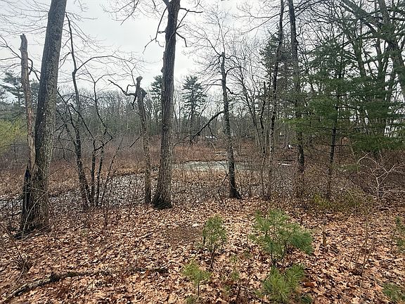 3rd image of 10 Sycamore Rd