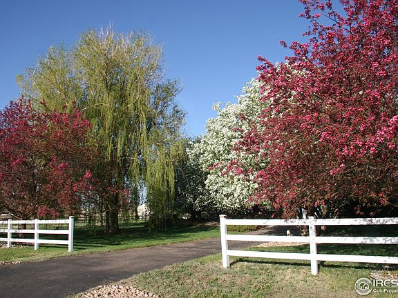 3rd image of 929 Palomino Way
