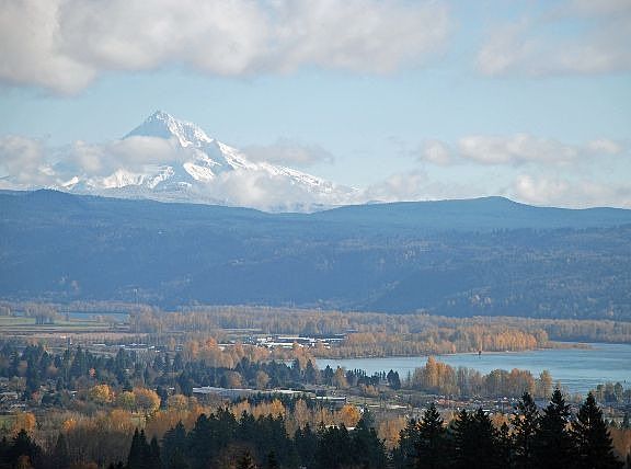 Mt. Hood View
