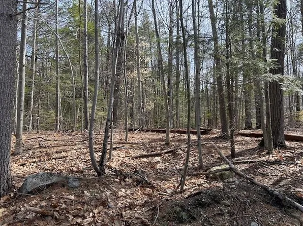 88 Normas Lane #88, Wolfeboro, NH 03894