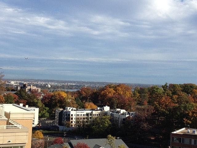 Amazing Views of Washington DC