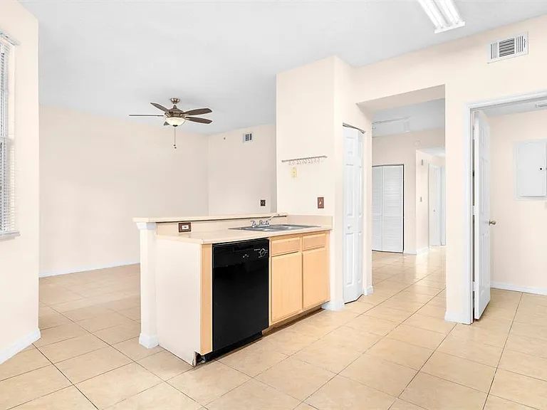 10873 Windsor Walk Dr #4106 — Photo 12