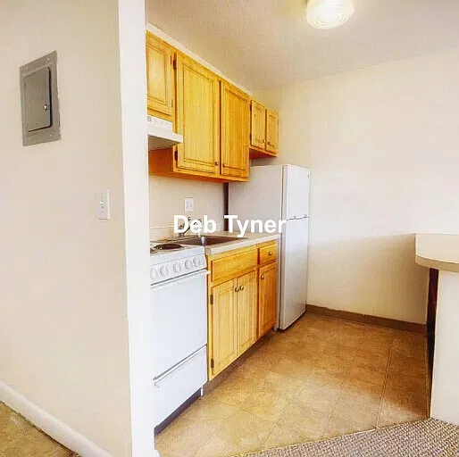 Studio, 1.0 bath, 420 sqft, $2,200 — Photo 4