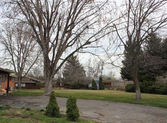 Mature landscaping